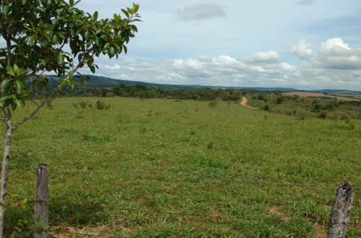 Imagem Fazenda à Venda, 8 Alq GOem Zona Rural - Silvânia