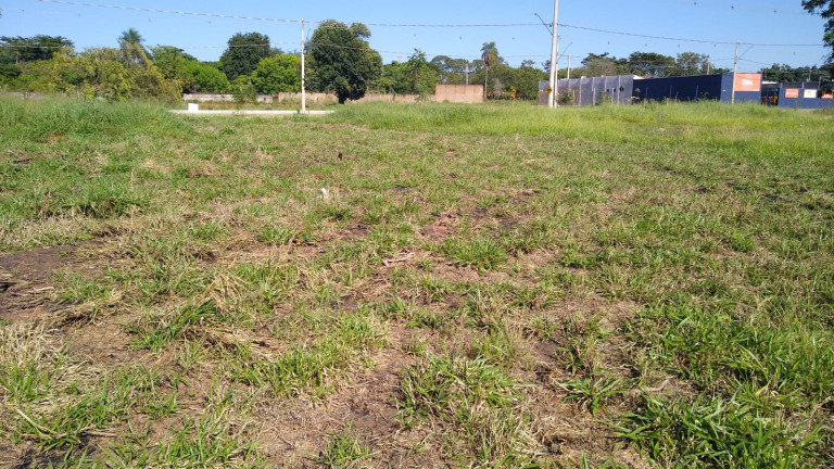 Terreno à Venda, 5.000 m² em Chácaras TV - Araçatuba