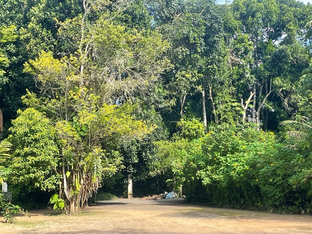 Imagem Casa com 2 Quartos à Venda, 72.500 m² em Aldeia dos Camarás - Camaragibe