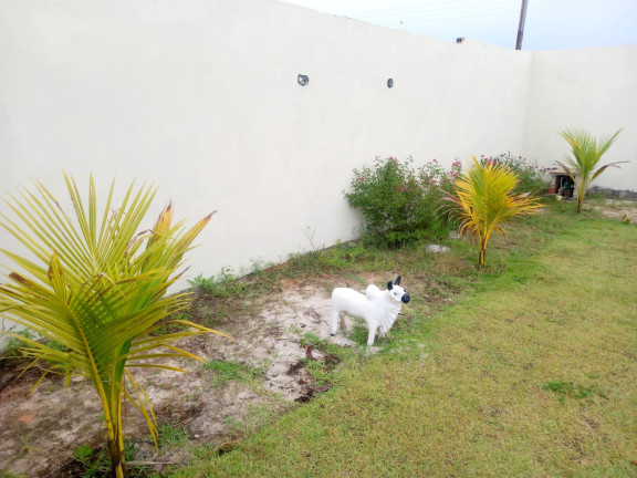 Imagem Casa com 3 Quartos à Venda, 600 m² em Povoado Abais - Estância