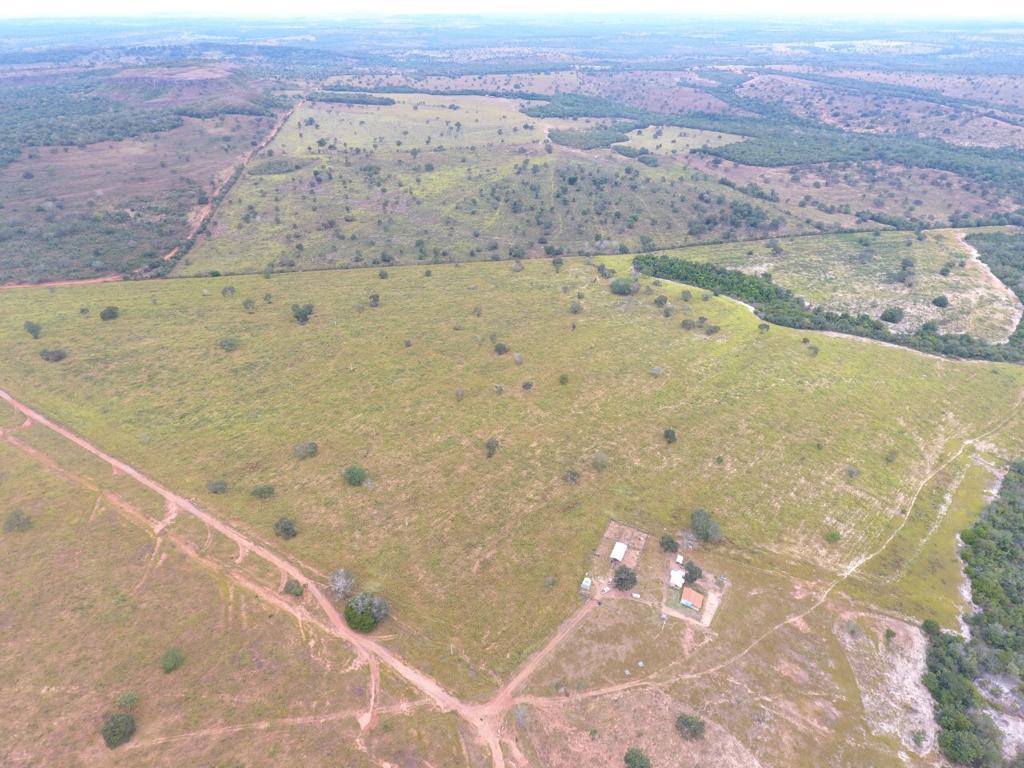Imagem Fazenda à Venda, 80 Alq GOem Centro - Barra do Garças
