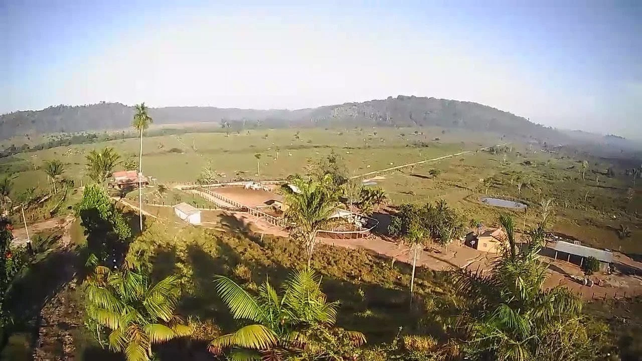 Foto do imóvel: Fazenda à Venda, 831 Alq. GO em Gurupá - Gurupá