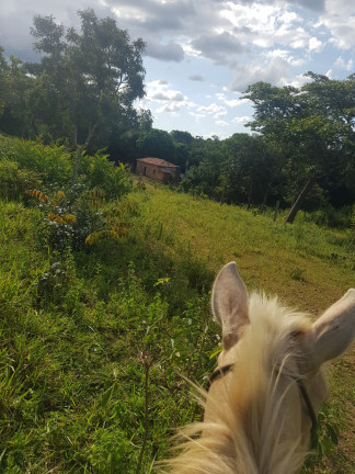 Imagem Fazenda à Venda,  em Área Rural - Padre Bernardo