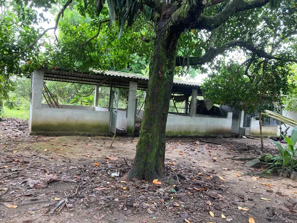 Imagem Imóvel com 3 Quartos à Venda, 17424 metros em Cachoeira - Cachoeira