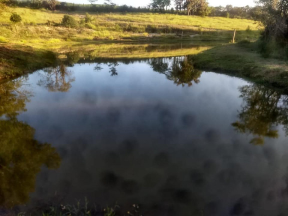 Imagem Fazenda à Venda, 36.000 m² em Aparecidinha - Araçoiaba da Serra