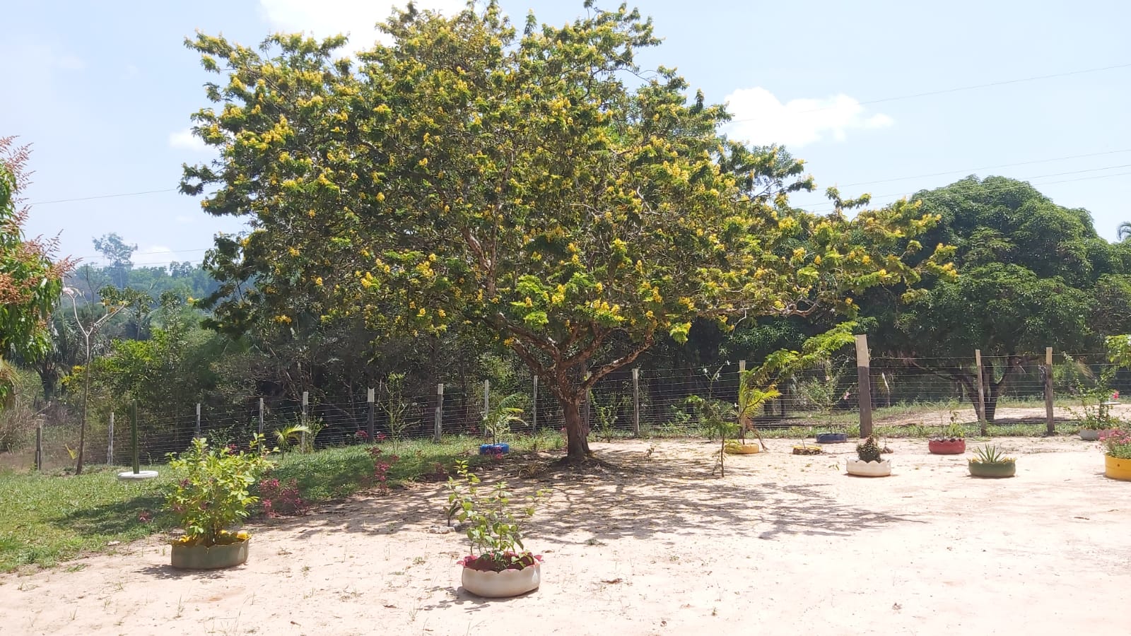 Imagem Chácara com 2 Quartos à Venda, 47 m²em Zona Rural - Santa Maria do Pará