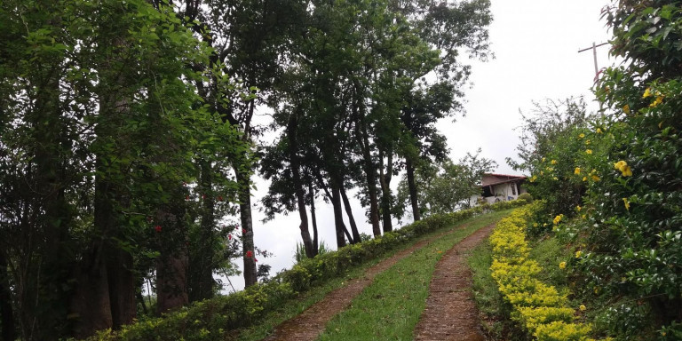 Imagem Chácara com 3 Quartos à Venda, 72.000 m² em Centro - Santa Isabel