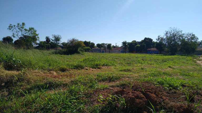 Imagem Terreno à Venda, 5.000 m² em Chácaras TV - Araçatuba