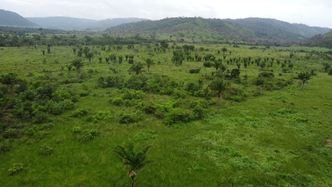 Foto do imóvel: Fazenda à Venda, 90 m²em Centro - São Félix do Xingu