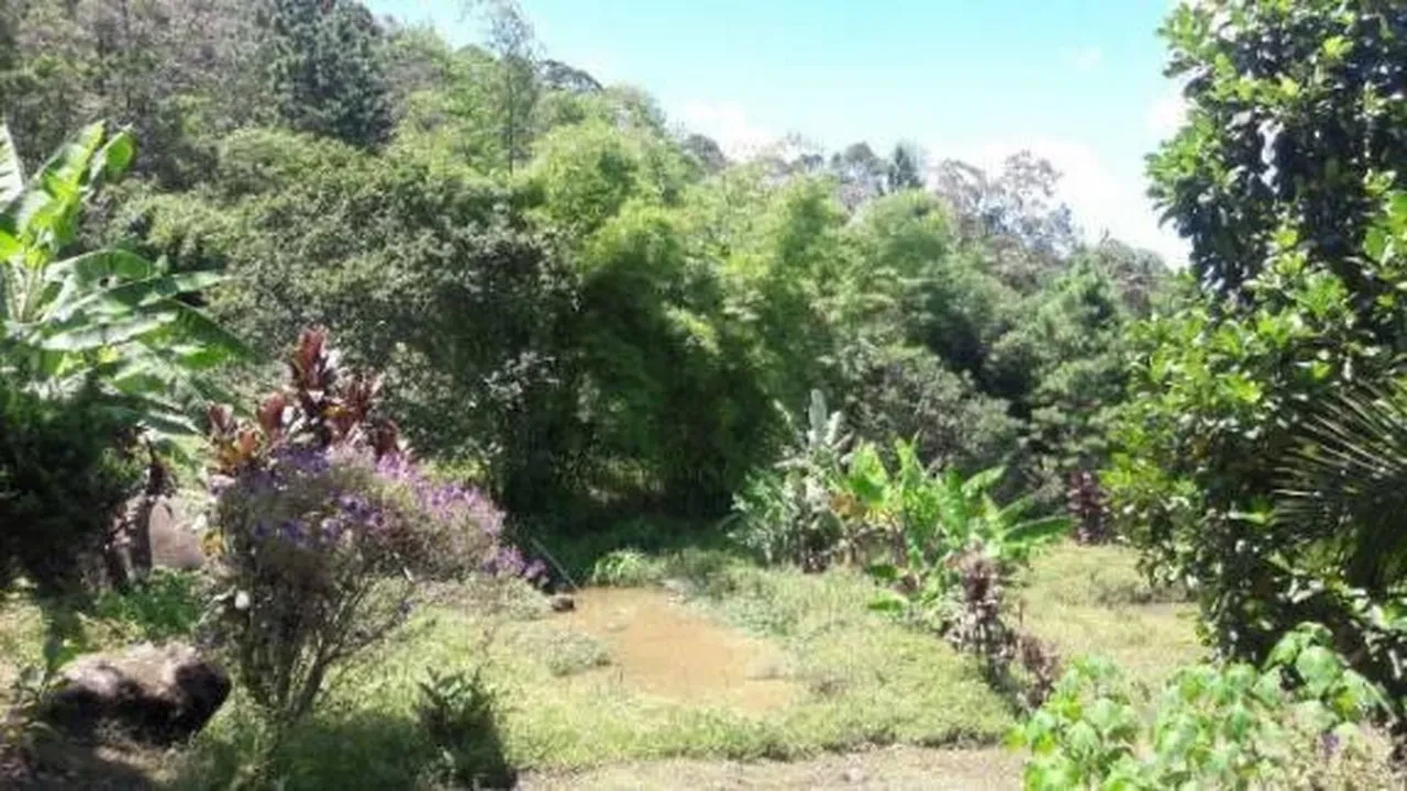 Terreno à Venda, 302000 m² em Juquiá - Juquiá