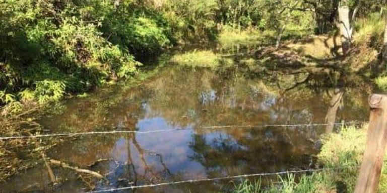 Imagem Fazenda à Venda, 1.450 m² em Centro - Santa Isabel
