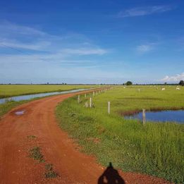 Imagem Fazenda à Venda, 8 HAem ZONA RURAL - Cocalinho