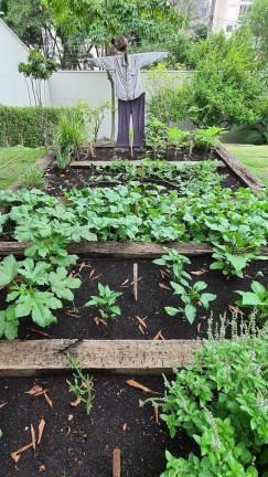Imagem Apartamento com 3 Quartos à Venda, 98 m² em Chácara Inglesa - São Paulo