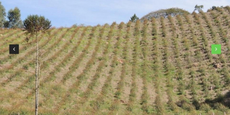 Imagem Chácara com 8 Quartos à Venda, 800 m² em Centro - Santa Isabel