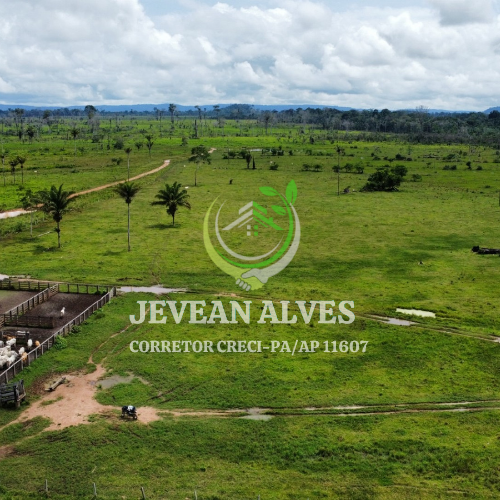 Foto do imóvel: Fazenda à Venda, 4 m²em Centro  - São Félix do Xingu