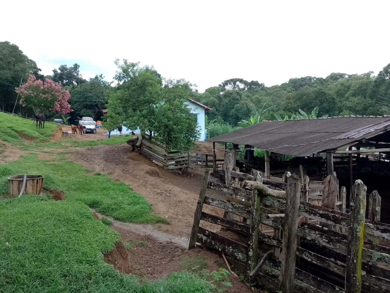 Imagem Fazenda à Venda, 5 Alq. MG em Caldas - Caldas