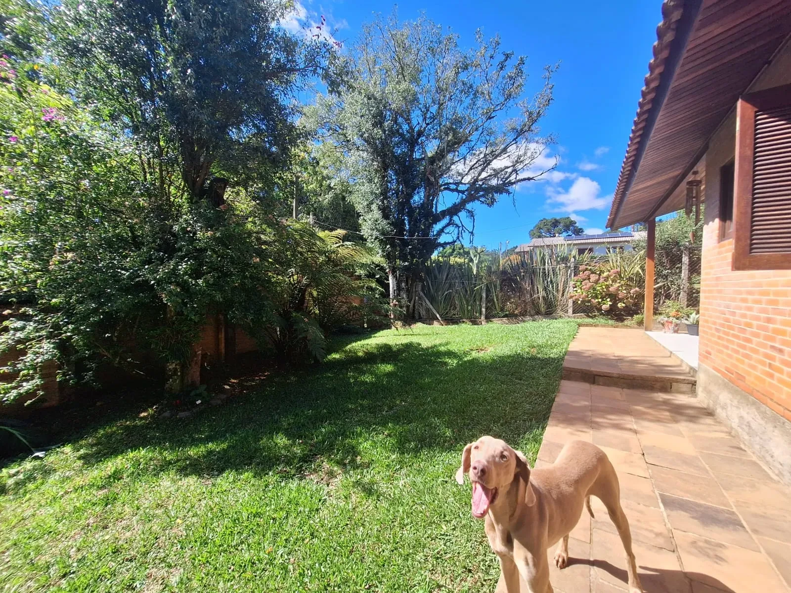 Imagem Casa de Condomínio com 3 Quartos à Venda, 80 m² em Pedancino - Caxias do Sul