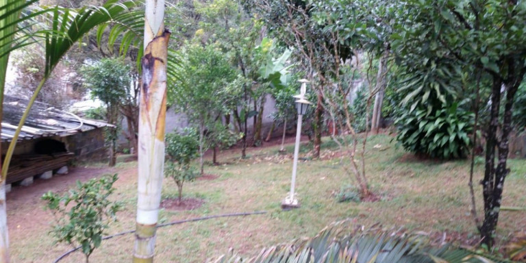 Imagem Chácara com 3 Quartos à Venda, 2.920 m² em Centro - Santa Isabel