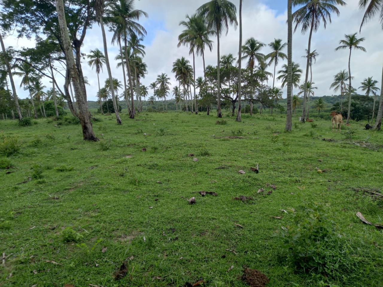 Foto do imóvel: Chácara com 3 Quartos à Venda, 90 m² em Centro - São Cristóvão