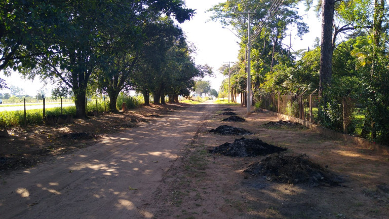 Chácara com 4 Quartos à Venda, 300 m² em Jardim do Trevo - Araçatuba