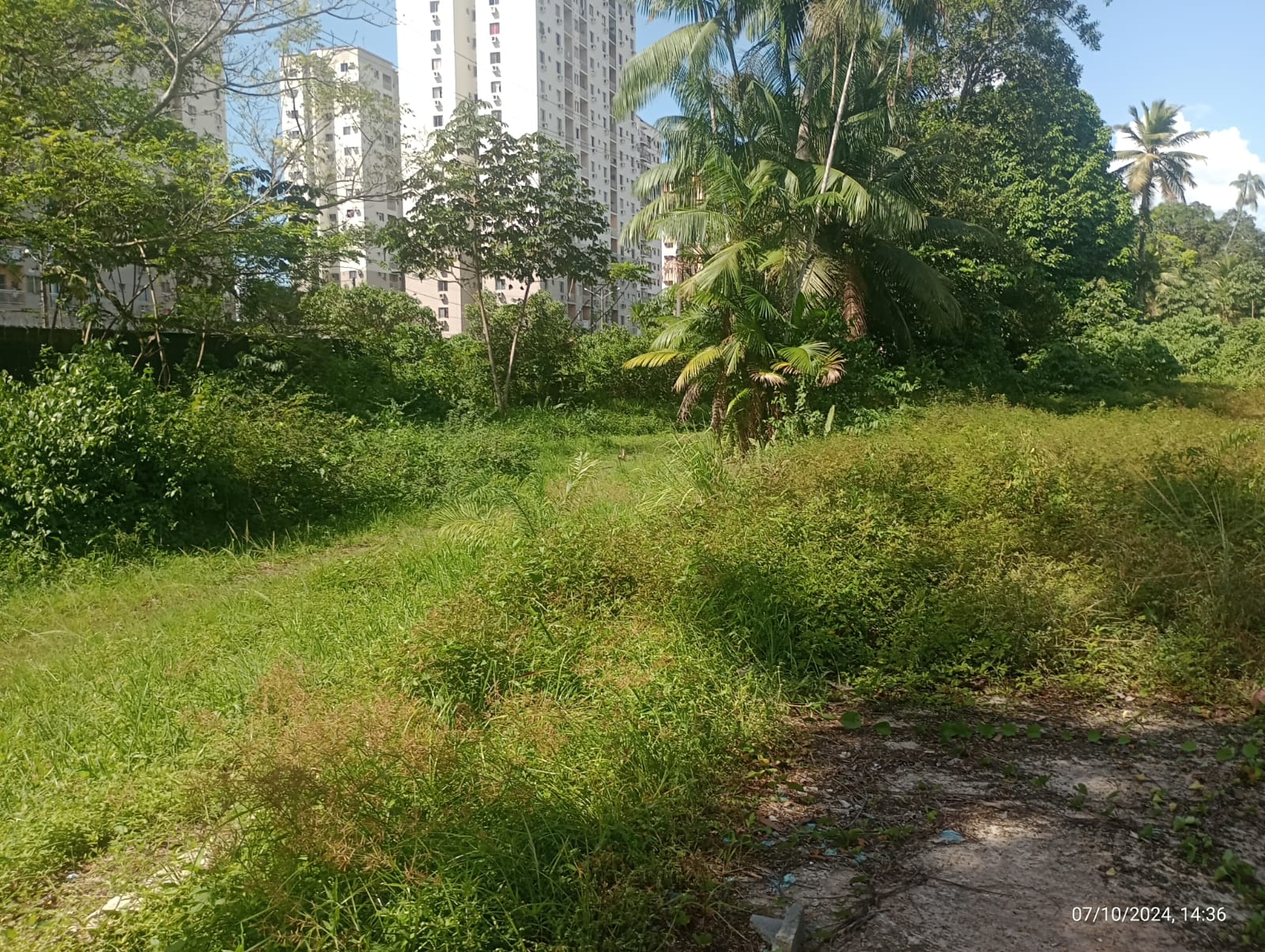 Terreno à Venda, 34 m²em Tenoné - Belém