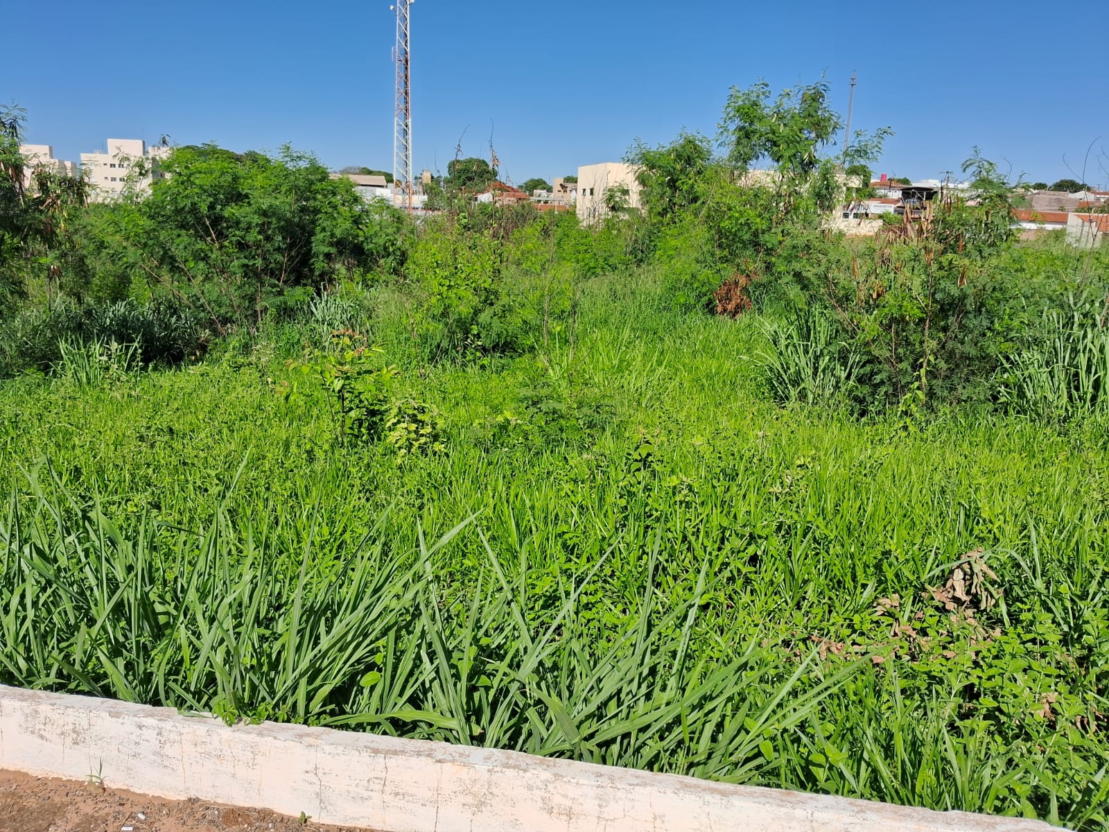 Imagem Terreno à Venda, 4.008 m² em Parque São Geraldo - Bauru
