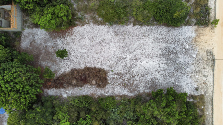 Imagem Terreno à Venda, 600 m² em Porto Sauípe - Entre Rios
