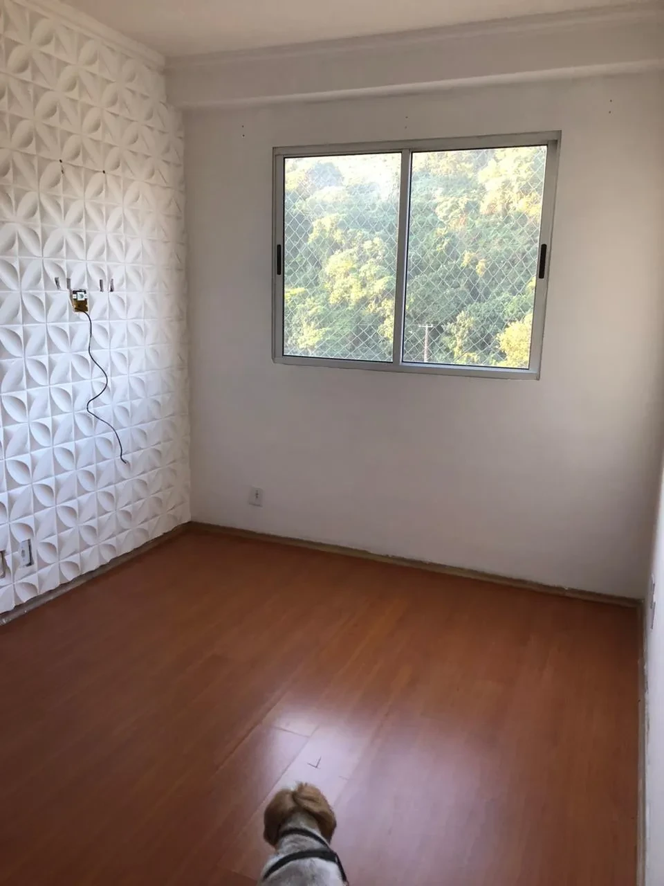 Imagem Apartamento com 2 Quartos à Venda, 48 m² em Jardim Nove de Julho - São Paulo