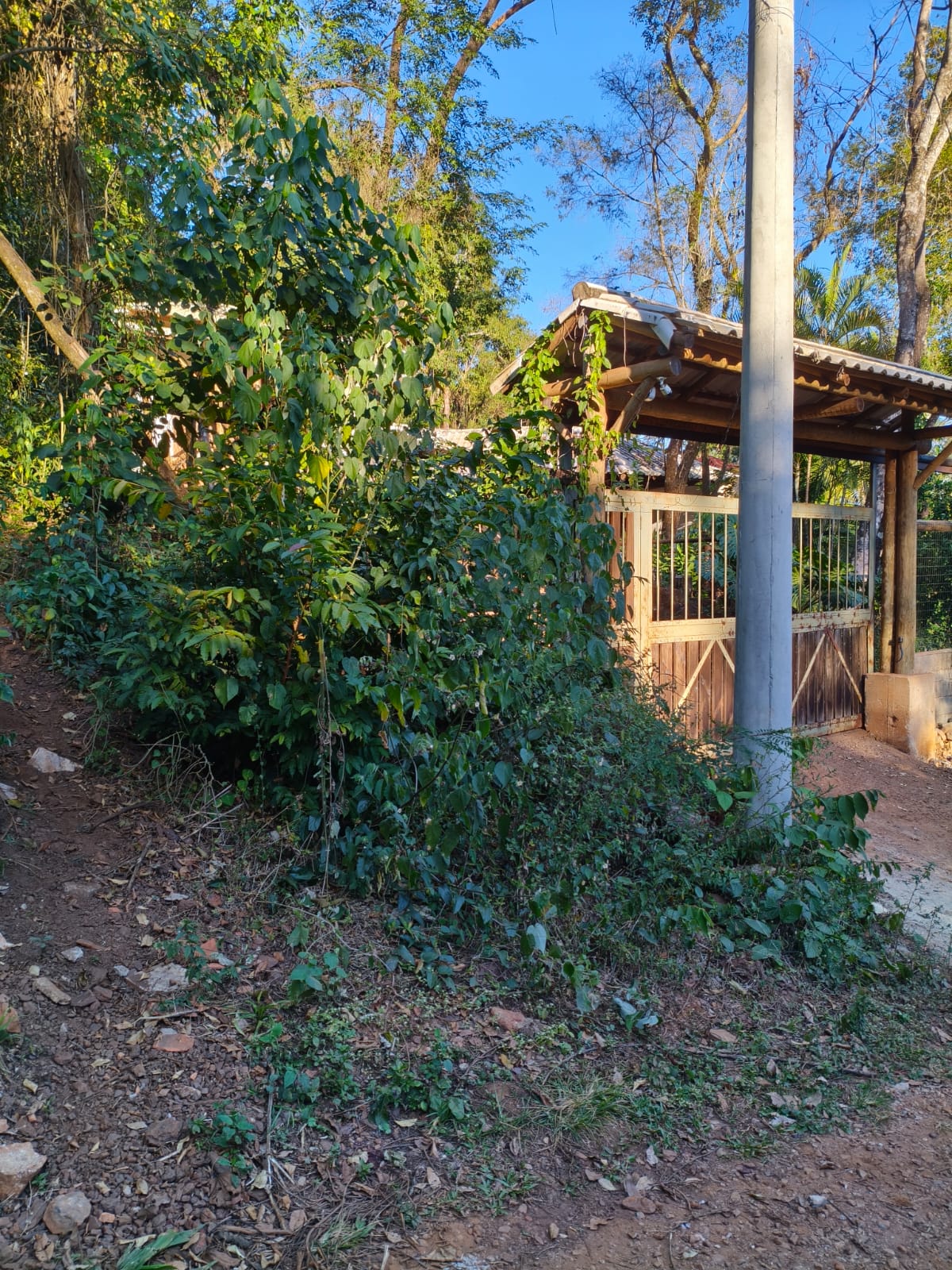 Foto do imóvel: Terreno à Venda, 2.000 m² em Recanto da Aldeia - Brumadinho