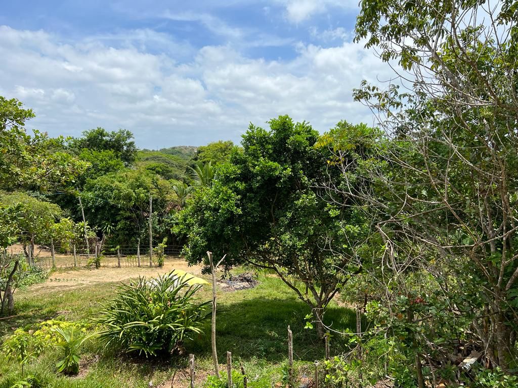 Imagem Terreno à Venda, 310 m²em Velha Boipeba - Cairu