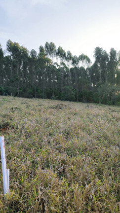 Imagem Terreno em Condomínio à Venda, 1.000 m² em Paruru - Ibiúna