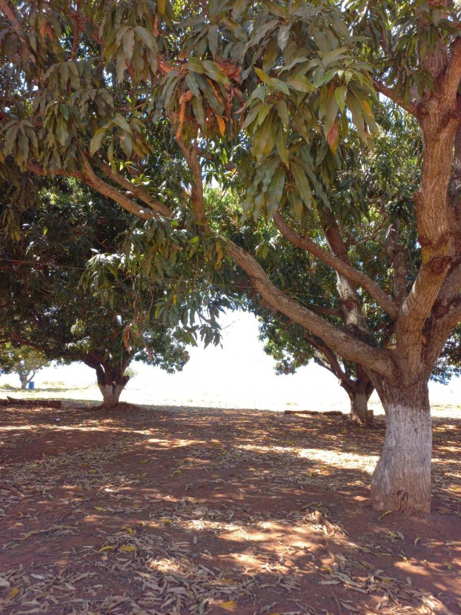 Imagem Terreno à Venda, 448 m²em Zona Rural - Felixlândia
