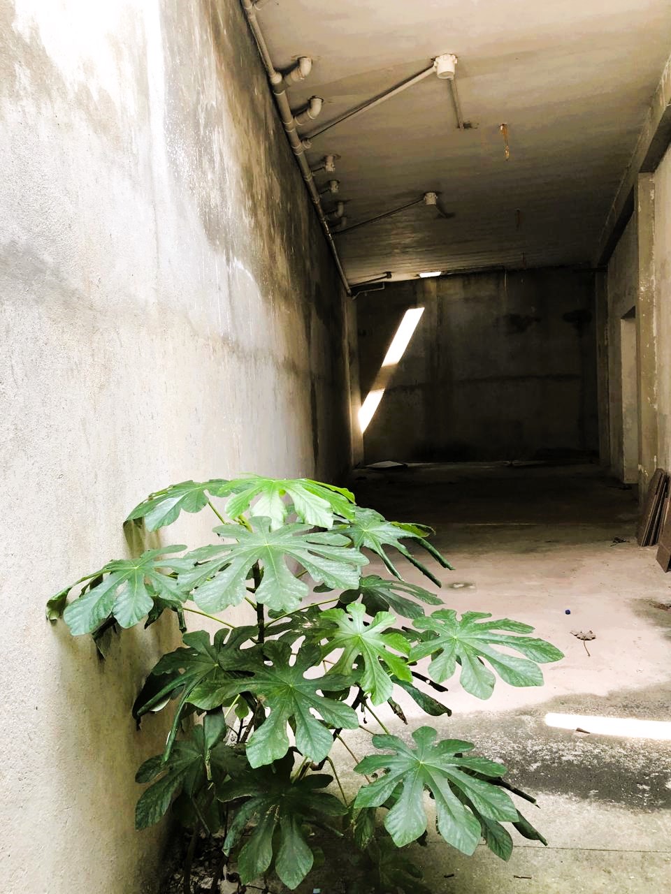 Imagem Galpão à Venda, 377 m²em Vila Valparaíso - Santo André