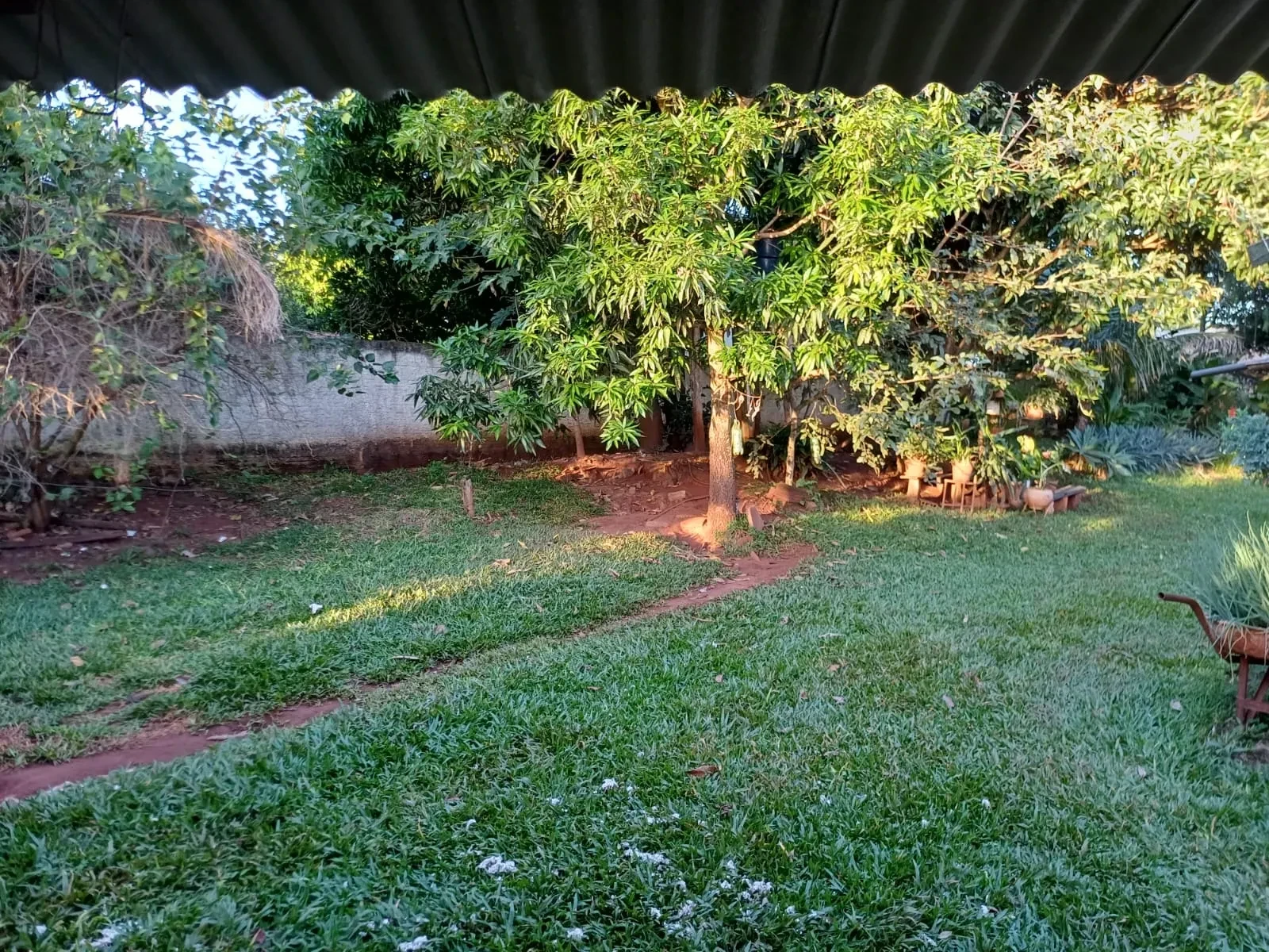 Imagem Chácara com 6 Quartos à Venda, 400 m² em Pitangueiras - Pitangueiras