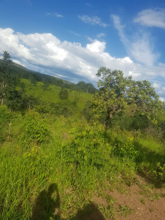 Imagem Fazenda à Venda,  em Área Rural - Padre Bernardo