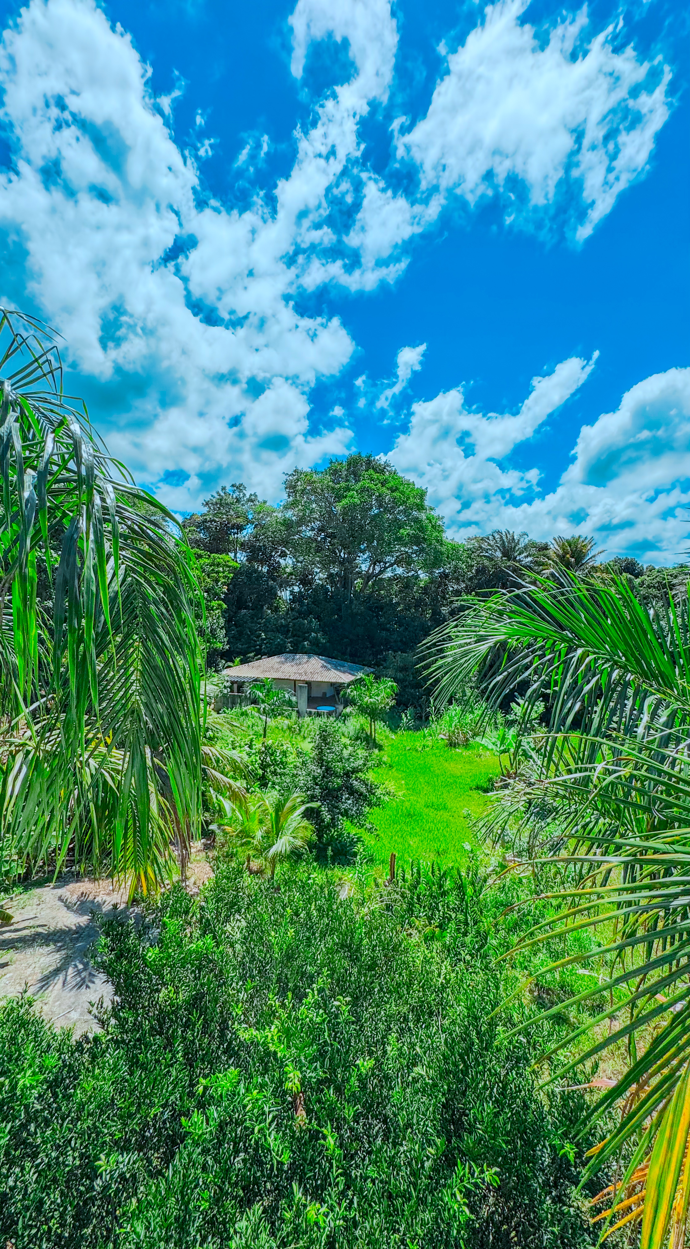 Imagem Casa de Condomínio com 7 Quartos à Venda, 660 m² em Portão - Lauro de Freitas
