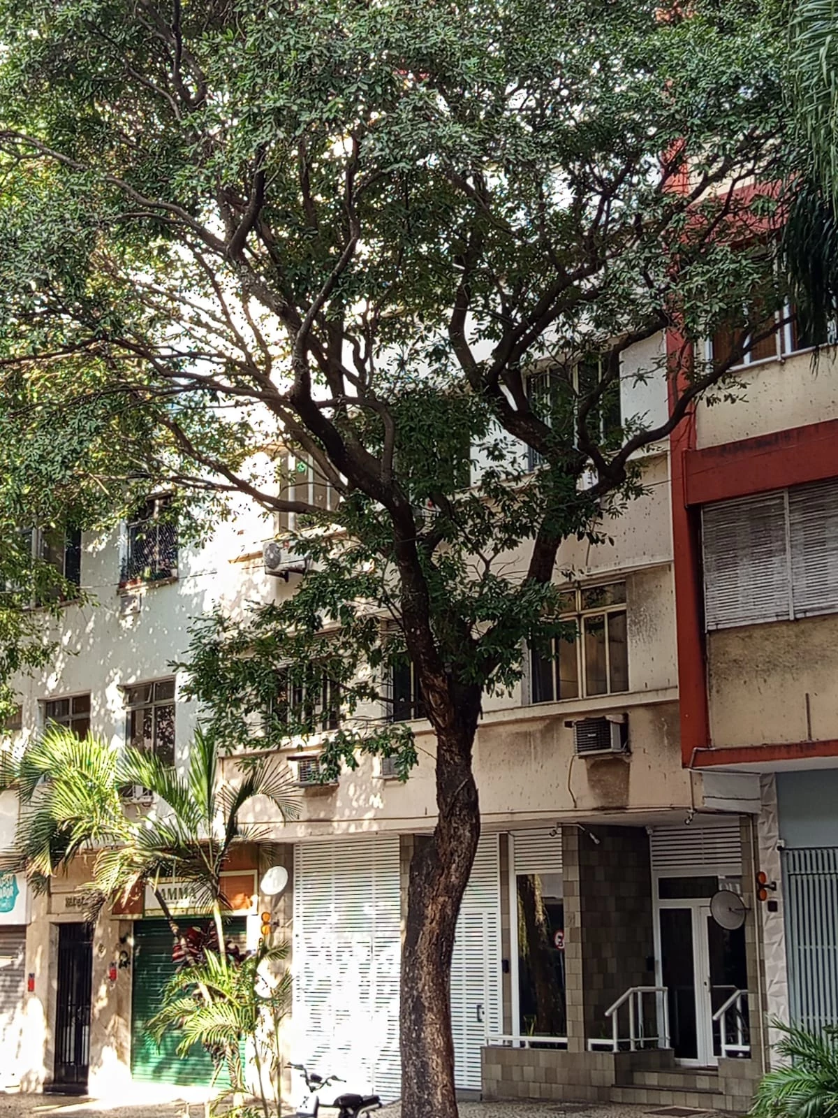 Imagem Apartamento com 3 Quartos à Venda, 94 m² em Copacabana - Rio de Janeiro