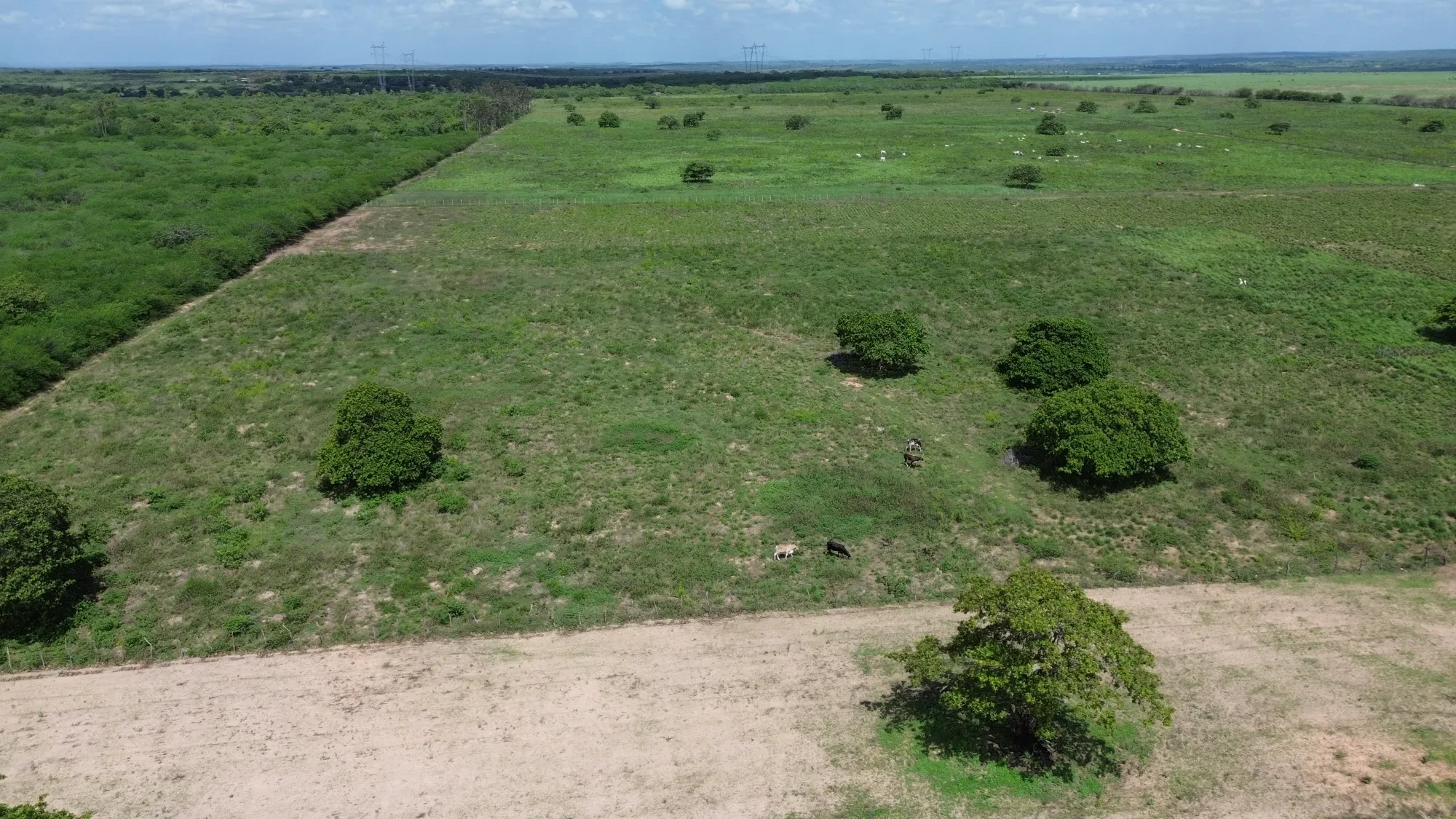 Foto do imóvel: Fazenda à Venda, 100 HA em Fabrício Pedroza - Macaíba