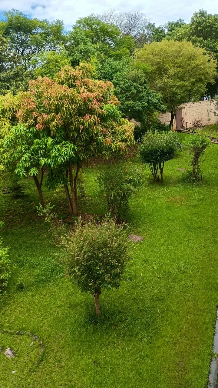 Foto do imóvel: Apartamento com 3 Quartos à Venda, 56 m² em Conjunto Residencial José Bonifácio - São Paulo