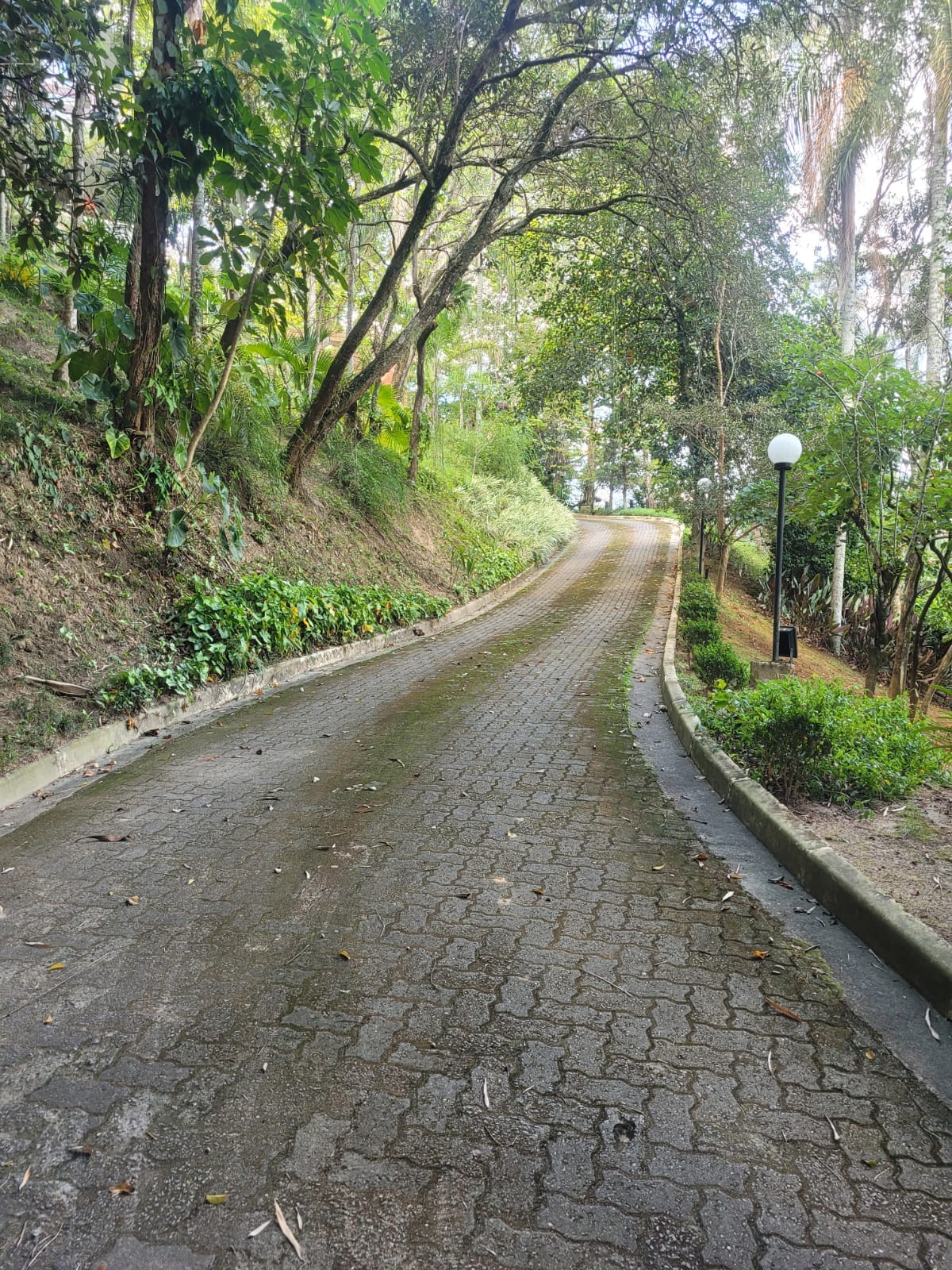 Imagem Terreno em Condomínio à Venda, 3.200 m² em Bosque dos Eucaliptos - São José dos Campos