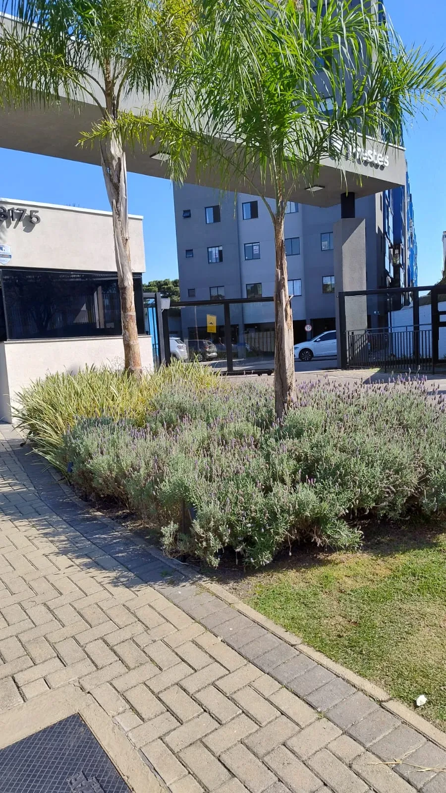 Foto do imóvel: Apartamento com 3 Quartos à Venda, 67 m² em Campo Comprido - Curitiba