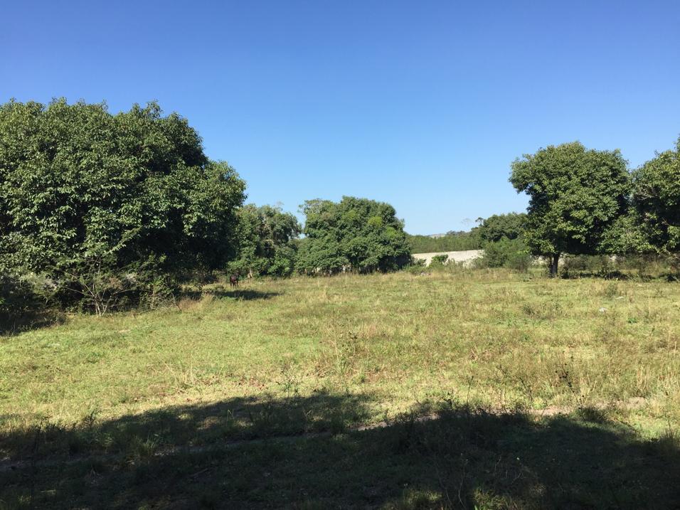 Imagem Fazenda à Venda, 86 HAem Santa Cruz - Rio de Janeiro