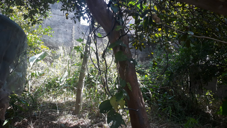 Sobrado com 7 Quartos à Venda, 403 m² em Jardim Cristino - Jandira