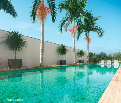 Imagem Apartamento com 2 Quartos à Venda, 40 m² em São Francisco Xavier - Rio de Janeiro