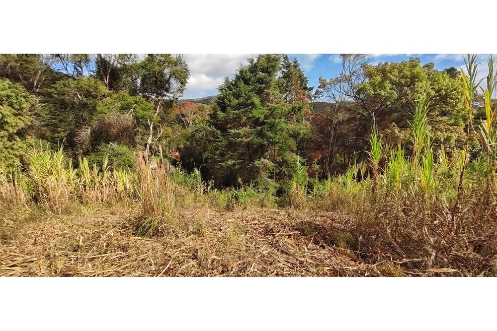 Imagem Terreno à Venda, 3.820 m² em Araras - Petrópolis