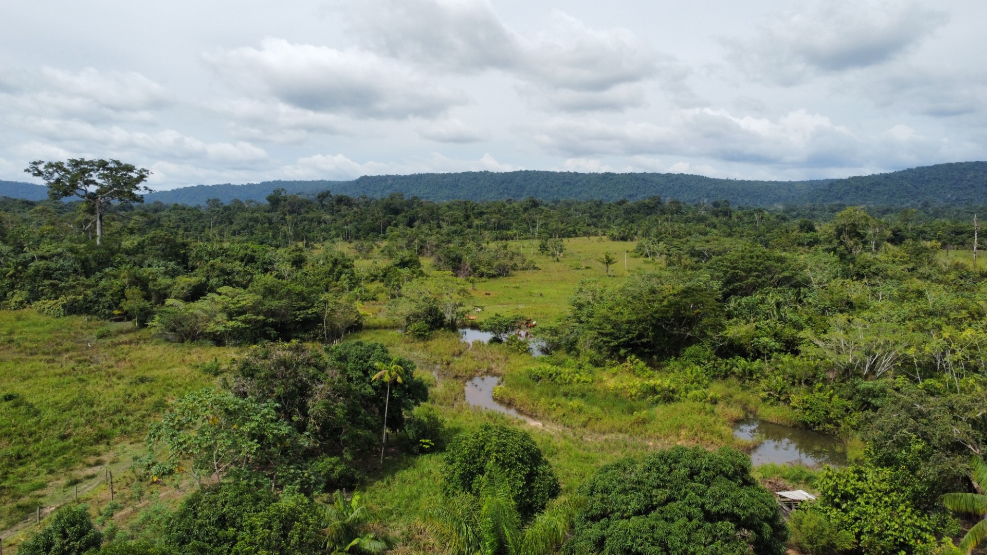 Foto do imóvel: Fazenda à Venda, 900 Alq MGem Centro  - São Félix do Xingu