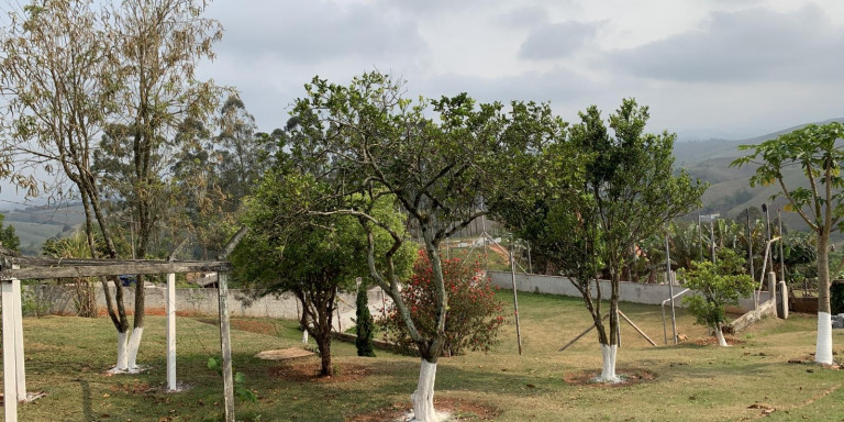 Imagem Chácara com 3 Quartos à Venda, 2.800 m² em Centro - Santa Isabel