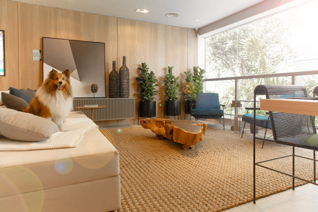 Imagem Apartamento com 3 Quartos à Venda, 29.598 m² em Sumarezinho - São Paulo