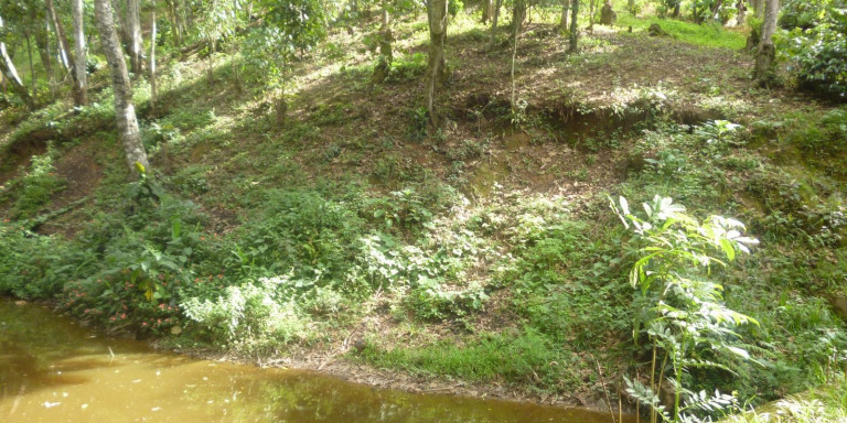 Imagem Chácara com 6 Quartos à Venda, 41.000 m² em Centro - Santa Isabel