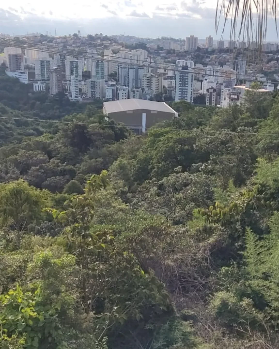 Imagem Apartamento com 3 Quartos à Venda, 75 m² em Buritis - Belo Horizonte